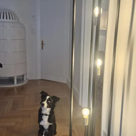 Aussicht Apartamento Freudenstadt